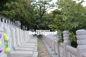 传统殡葬向绿色生态葬转型是大势所趋的形式