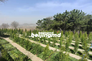 北京市丰台区墓地一览？丰台区墓地多少钱有价格表吗？