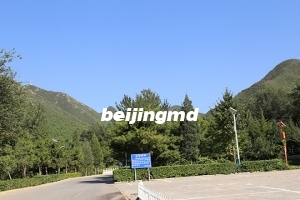 九里山公墓二区官网咨询电话多少？北京九里山公墓二区可以买吗？