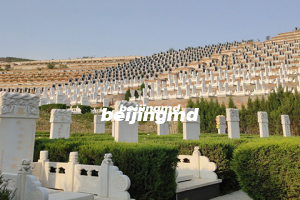 长乐园连续8年举办免费集体生态葬