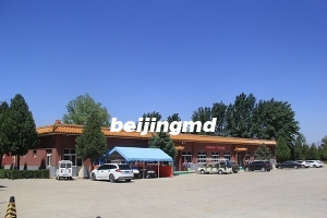 花坛葬价格是多少？花坛葬和草坪葬哪个好？