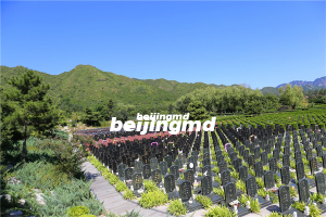 北京五环地墓地价格贵不贵？风水怎么样？