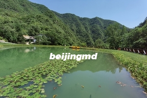 清东陵万佛园墓地价格是多少？交通路线怎么走