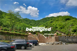 九里山公墓墓型一览展示图