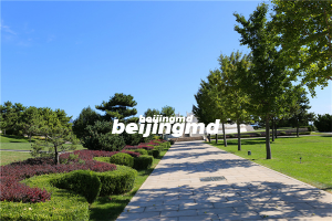 电影导演吴贻弓逝世