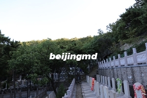 桃峰陵园墓地现在什么价位？怎么联系桃峰陵园销售