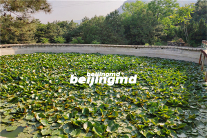 佛山陵园墓地环境及详情介绍！