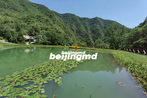 九公山长城纪念林树葬卧碑各如何？