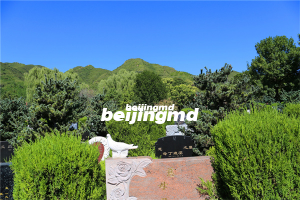 北京九公山墓地价格表的具体情况是怎么样的呢？