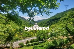 温泉墓园地址在哪里啊
