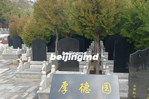 2023年北京市节地生态葬举行公祭活动