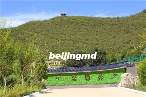 北京哪个陵园有树葬和花葬？北京花葬树葬价格多少？