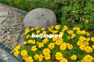 北京周边墓地涿州卧龙公墓怎么样？交通路线怎么走
