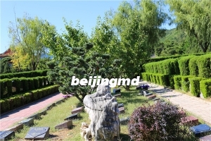 昌平关注度比较高的陵园，昌平陵园推荐