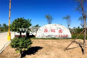 陵园环境