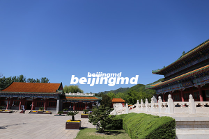 传统殡葬方式会造成农村基本农田减少吗？