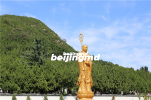 生态树葬,与大自然共存的永恒安葬方式