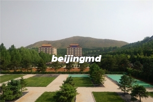 温泉墓园树葬几个价格