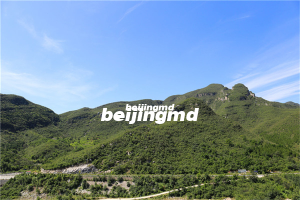 泰康集团等保险的“生前契约”是什么意思