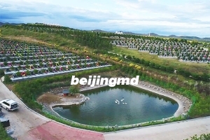 北京丰台鑫园小区附近的陵园怎么样？价格大致多少钱？