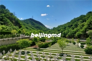 北京市顺义区潮白陵园全力做好汛期防汛安全保障工作