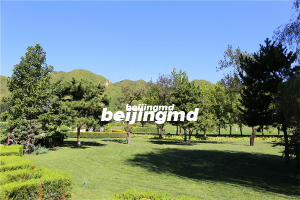 清东陵万佛园礼佛国学之旅