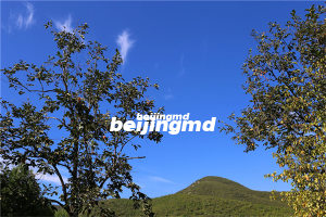 北京佛山陵园二区在什么位置？佛山陵园风水好不好？