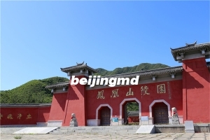 北京“五家数字墓园”开启了数字殡葬新风尚