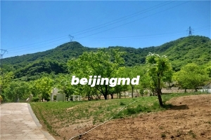 天寿园地址在哪里？交通路线怎么走