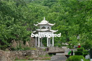 理清殡葬改革本质和出路