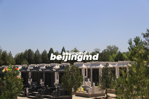 年轻殡葬人和生命事业践行者，向生命致敬