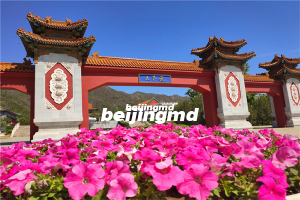 九公山陵园班车应该如何预约？