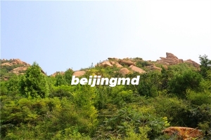 北京公墓中有可以存放骨灰盒的吗?