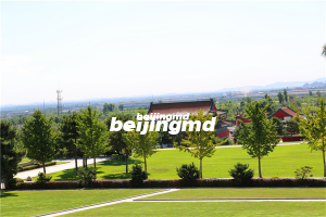 九公山长城纪念林树葬安息之地