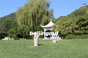 兴寿镇龙泉公墓风水怎么样？