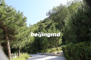 九里山公墓二区的环境好不好？北京九里山公墓二区可以买吗？