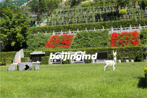 九公山长城纪念林是不是在怀柔区渤海镇哪里