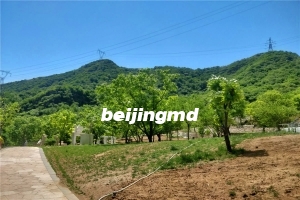 太子峪陵园团购怎么预约