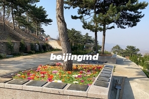 九公山长城纪念林环境好吗？