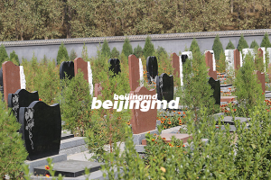 九公山长城纪念林自驾线路介绍？