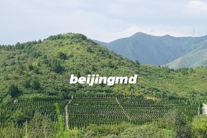 合法经营性陵园如何分布？哪些陵园性价比较高？