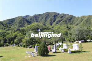 九龙山生态陵园墓地价格一览及陵园介绍