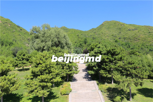 16800能买到九公山长城纪念林的树葬墓地吗？