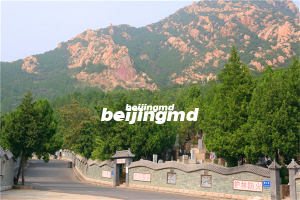 延庆的永宁陵园树葬怎么样？