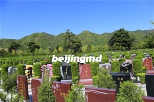 十三陵景仰园好不好？树葬价格多少？有景仰园墓地预约电话吗？