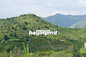 佛山陵园价格怎么样？