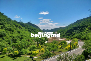 北京树葬墓地哪家好，全部费用大概多少钱