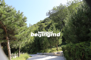 北京市景仰园骨灰林怎么样？