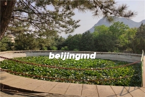 北京八达岭附近陵园墓地有几家？北京八达岭陵园墓地价格贵吗？