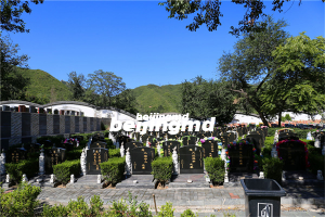 滨州博兴召开殡葬法规修订和政策研制座谈会